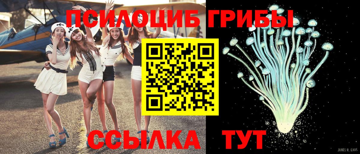 продажа наркотиков  Галлюциногенные грибы Cubensis  Вход с VPN  Когалым  Галлюциногенные грибы прущие грибы 