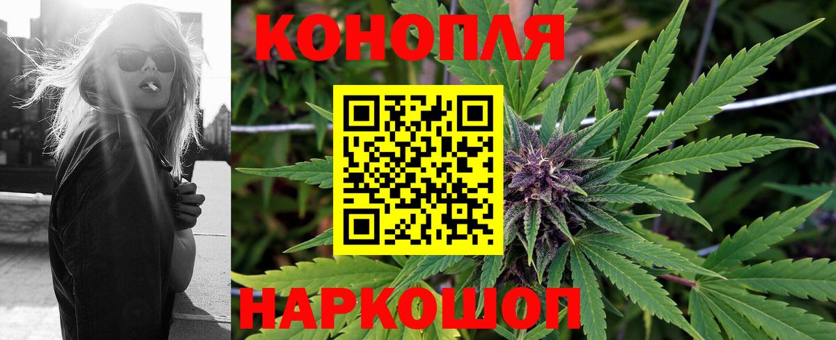 Марихуана план  Вход с VPN  Марихуана сатива  Когалым  Канабис Ganja 